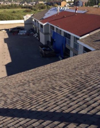 A roofing company crew installing new shingles on a building under a clear blue sky.