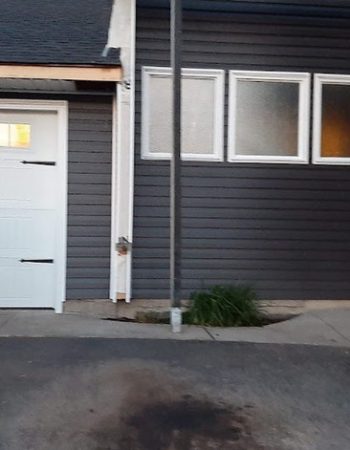 A garage with a white door and a window, surrounded by green bushes and a clear blue sky.